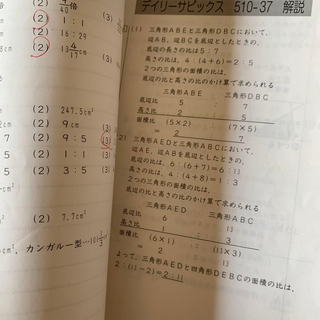 今日までお値下げ！SAPIX 小学5年1年分算数デイリーサポートサピックス74冊