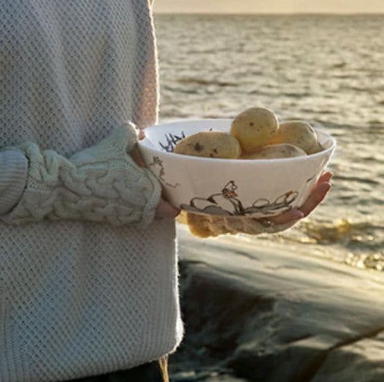 【未使用】ARABIA　ムーミン トゥルートゥーイッツオリジンサービングボウル