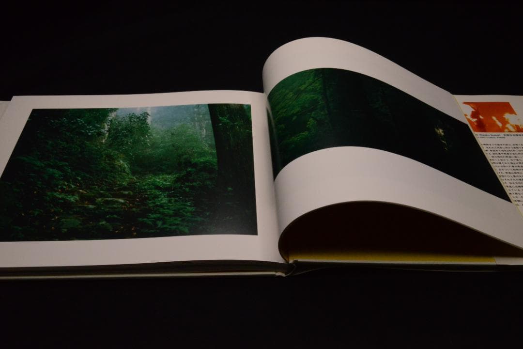 【PILES OF TIME】鈴木理策　1999年初版　帯付　新品未読品