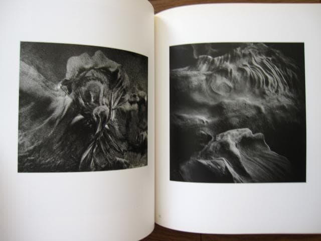 In the Nature of Things　Jack Stuler