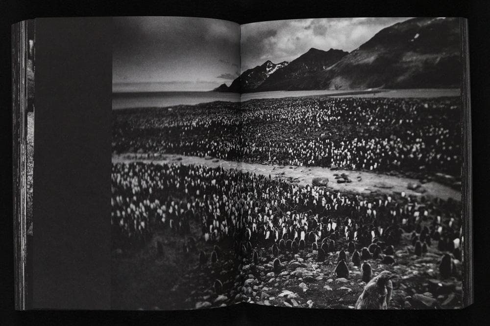 Tomasz Gudzowaty 『Closer』Stidle