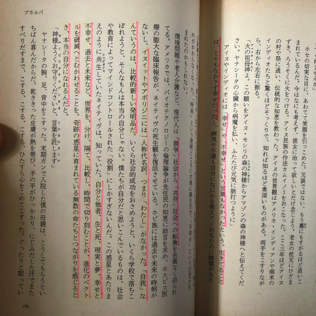 【絶版・希少】アヤワスカ！　地上最強のドラッグを求めて AKIRA 初版