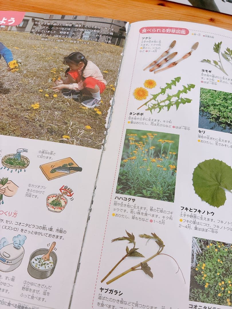 小学館の図鑑NEO 13冊セット　バラ売り❌