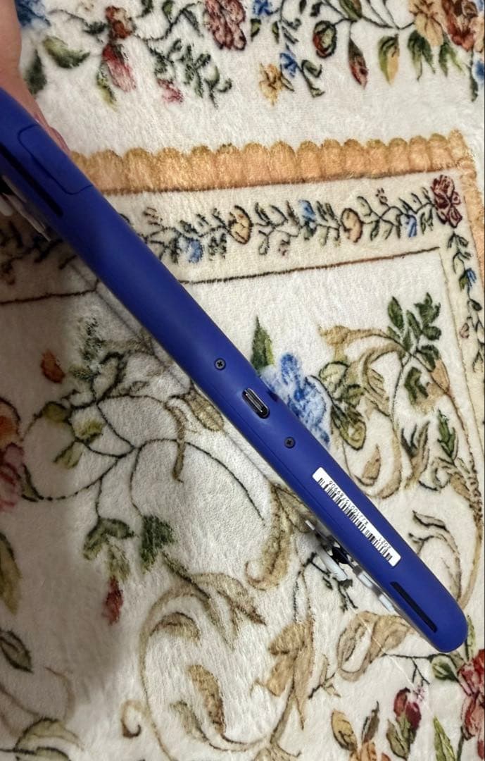 Nintendo Switch Lite本体