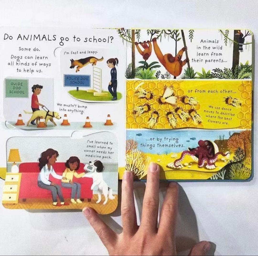 Usborne Very First Q&A 英語仕掛け絵本ボードブック15冊