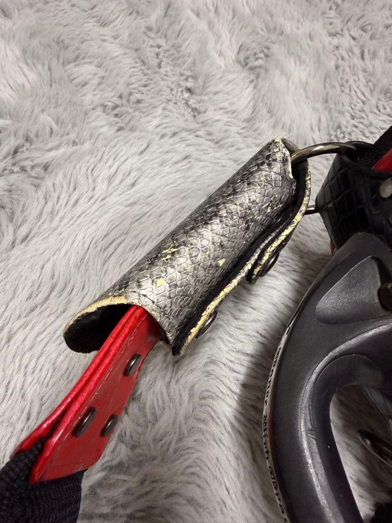 DanceWithDragon キャディバッグ　ダンスウィズドラゴン