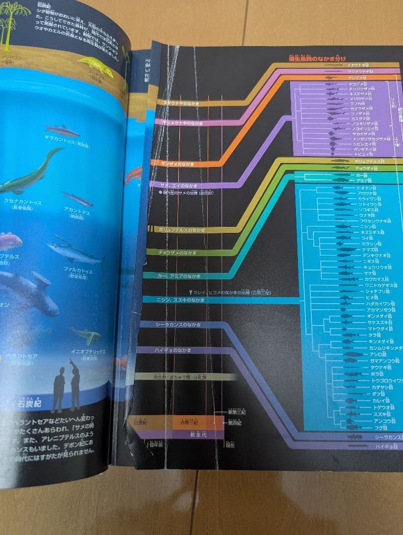 小学館の図鑑NEO まとめ売り＋ポプラディア・学研図鑑セット
