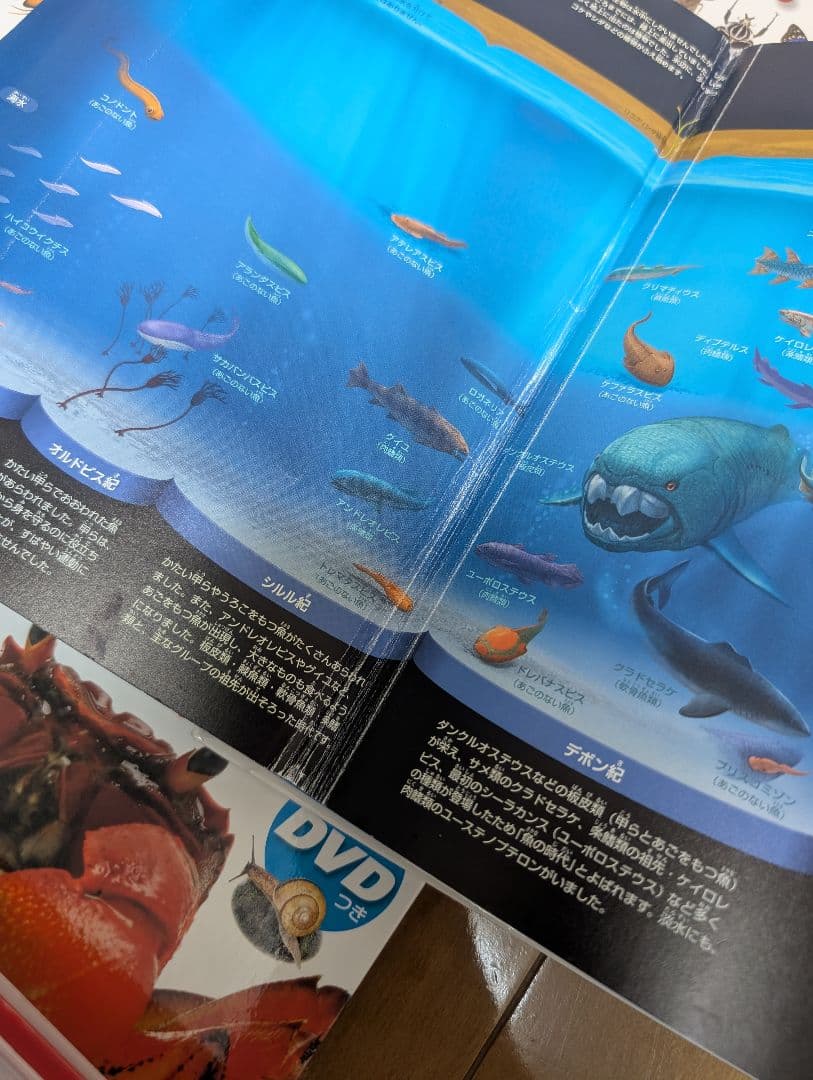 小学館の図鑑NEO まとめ売り＋ポプラディア・学研図鑑セット