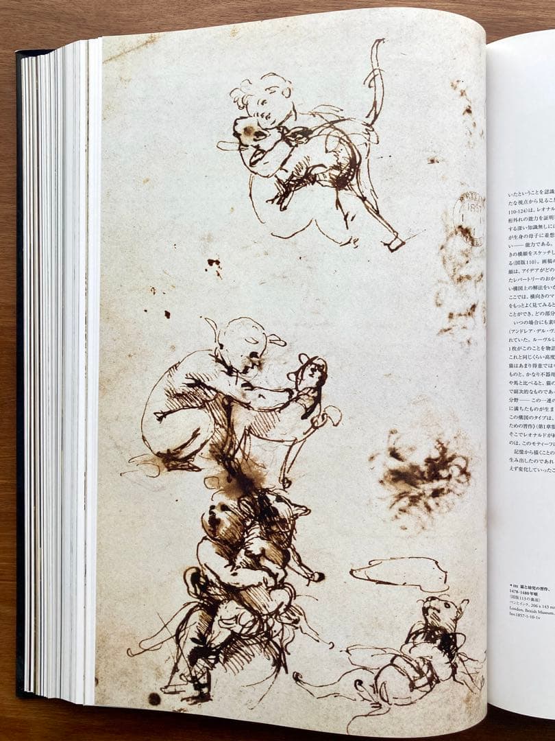 レオナルド・ダ・ヴィンチ 全絵画作品・素描集