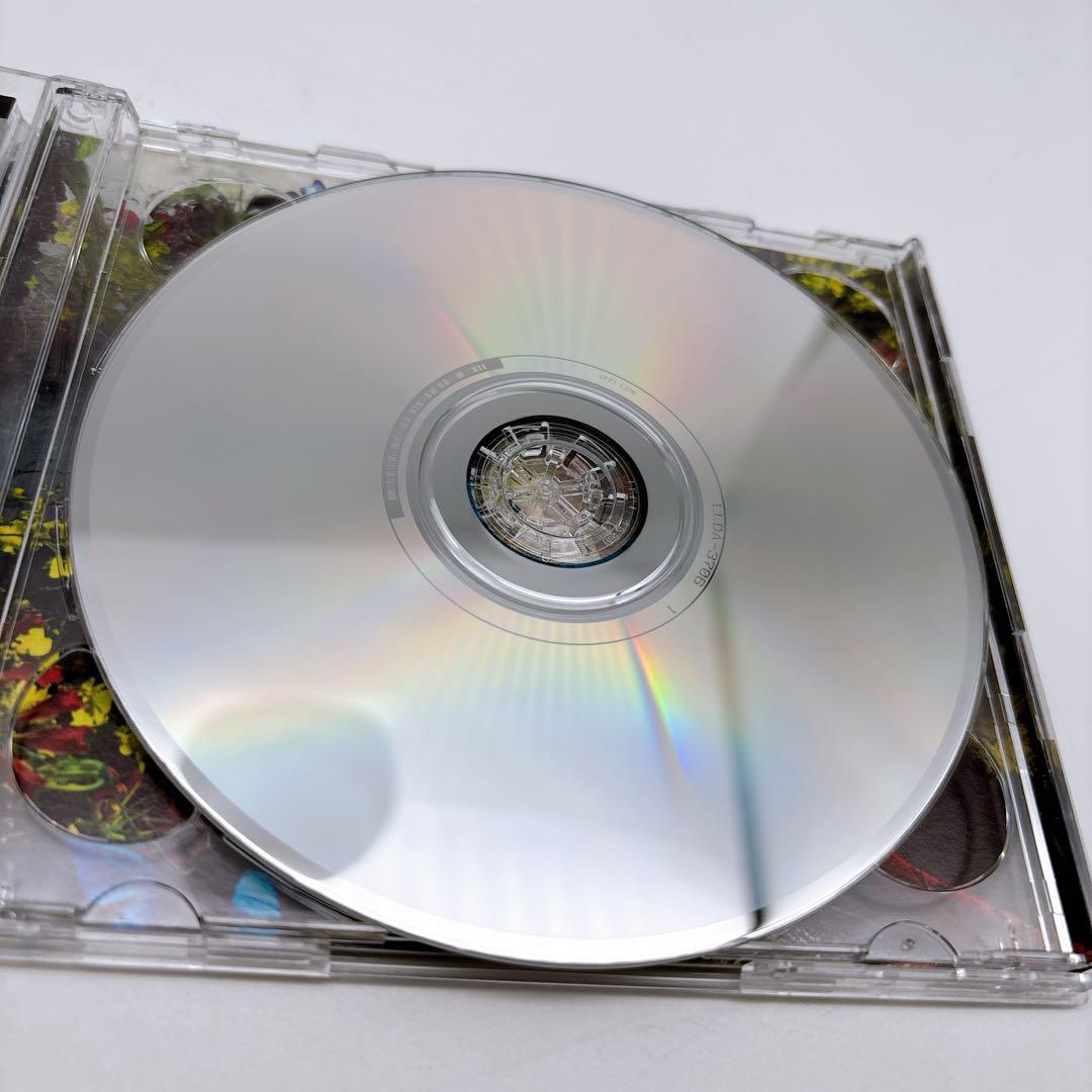 GARNiDELiA 約束 Promise code 初回生産限定版 DVD付き