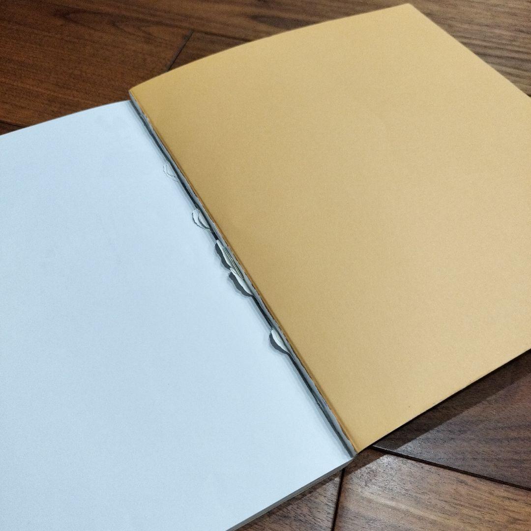 《幼児-小学生》Grape SEED unit1〜15 英語教材 グレープシード