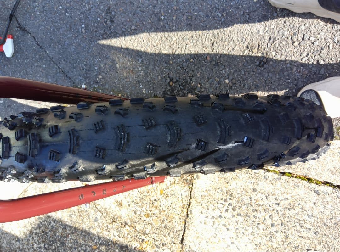 【激安　お買得】（直接取引き限定）サリーマウンテンバイク