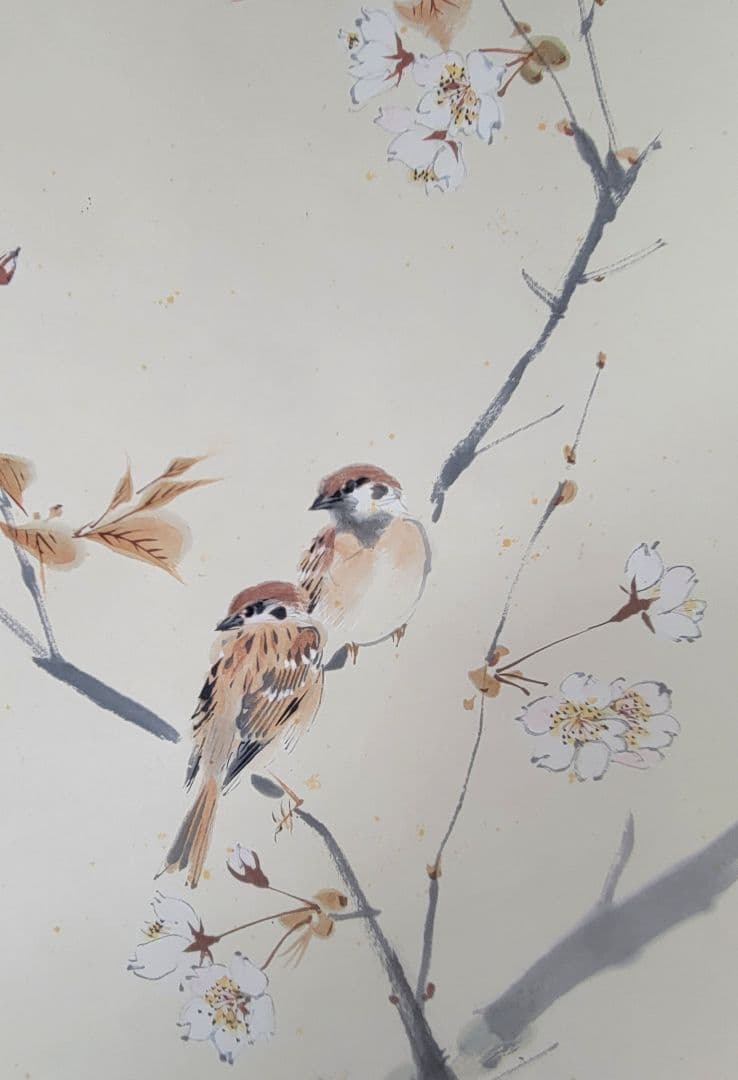 イワサキコーチ　桜花小禽　花鳥画　作家銘あり　掛け軸　共箱