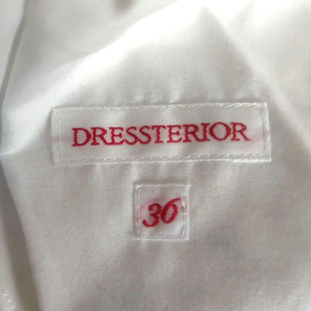 DRESSTERIOR　ストライプシャツワンピース　バンドカラー　春