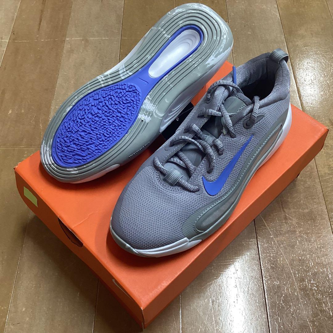 シューズ(男性用) NIKE ISOFLY(GS) 002 24.5cm