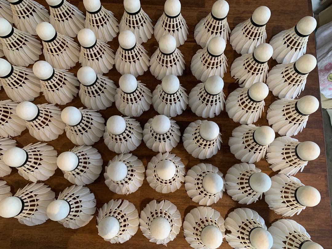 専用です‼️バドミントン シャトル サンファスト120球