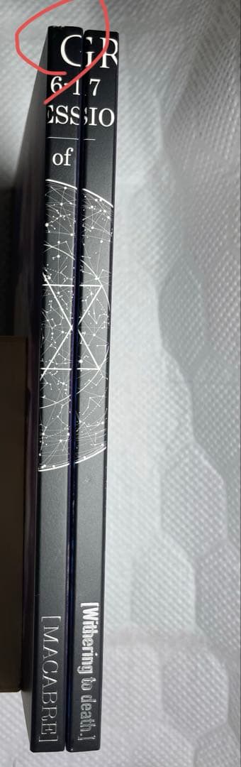 DIRENGREY mode of～ DVDセット