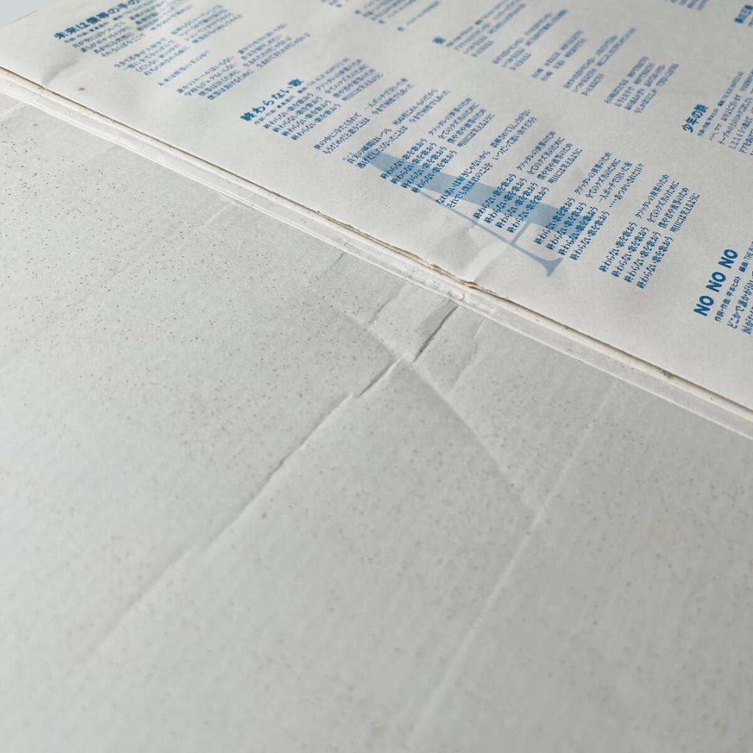 オリジナル盤 レコード THE BLUE HEARTS ザ・ブルーハーツ 難あり