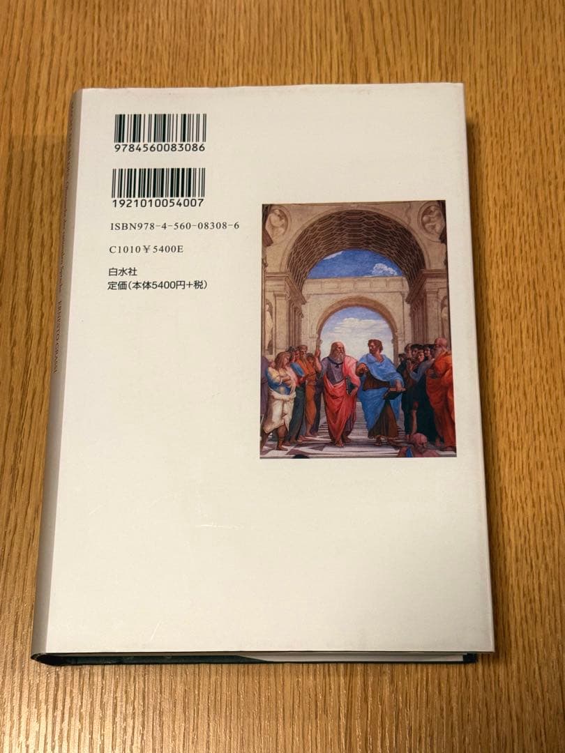 形象の力 : 合理的言語の無力