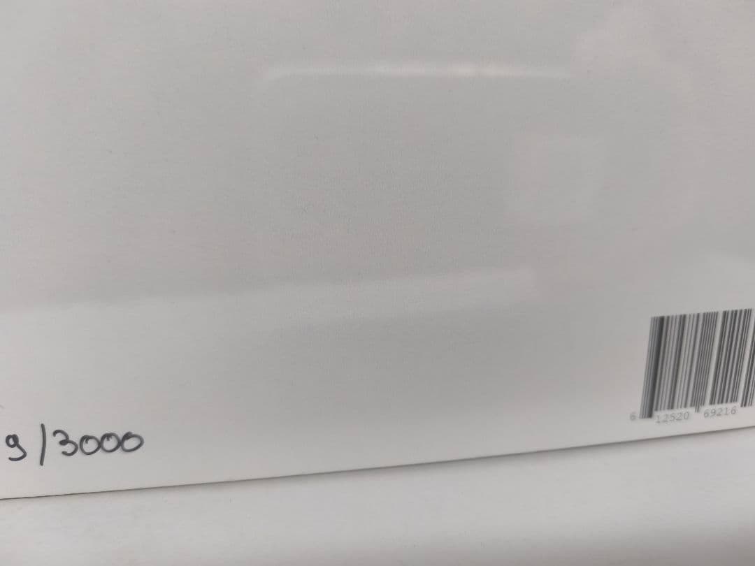 Vulfpeck Vulfmon DEG LP 新品