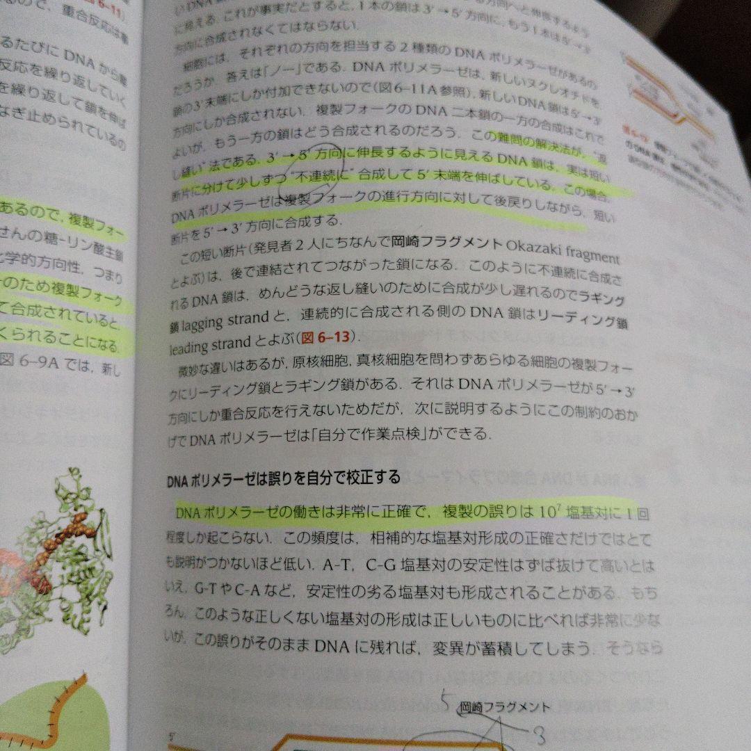 Essential細胞生物学 原書第5版 cell biology 南江堂