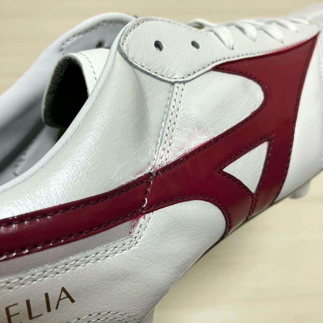 トリックスペイント MIZUNO ミズノ モレリア2japan ジャパン 265