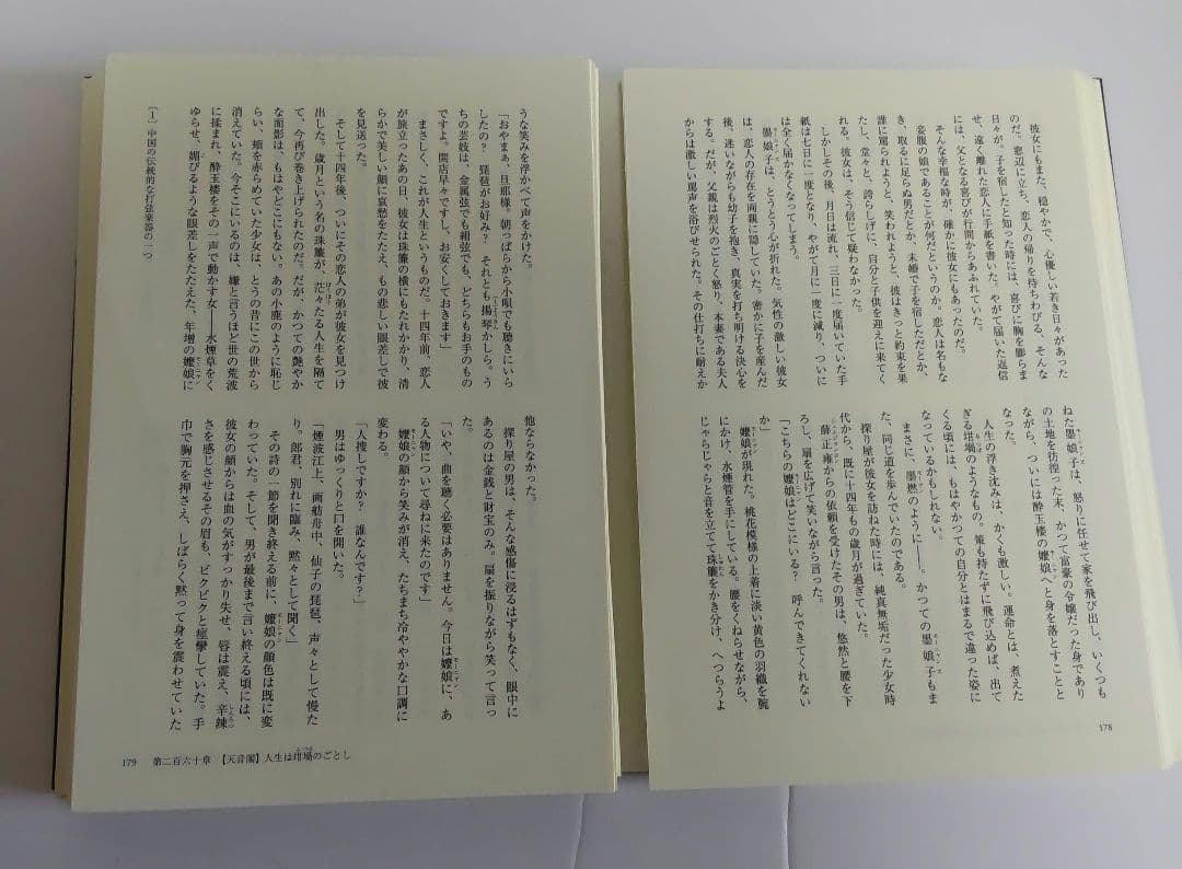 【裁断本】二哈和他的白猫師尊　邦訳1～8巻セット、6巻のみ小冊子あり