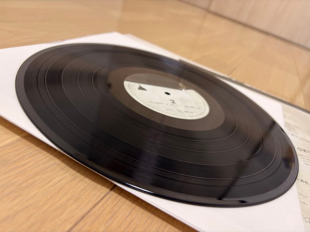 フジファブリック 1st LPレコード