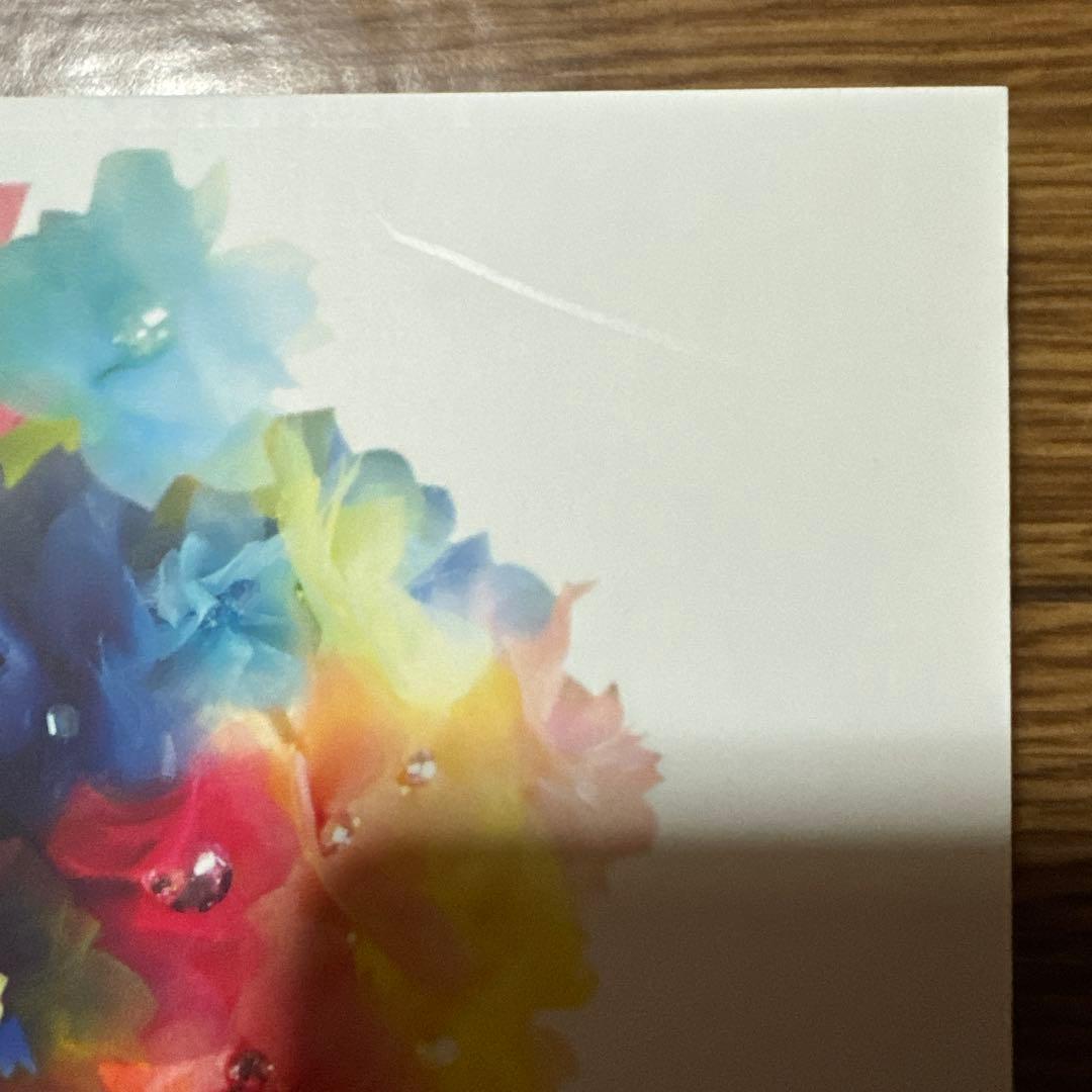 AKB48 大島優子　卒業コンサートDVD