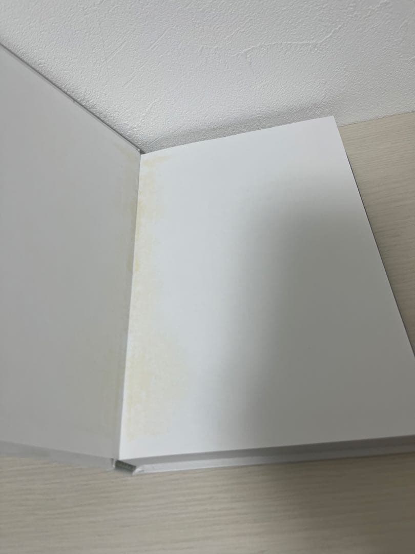 洋書 The Evolving Maritime Balance of Power