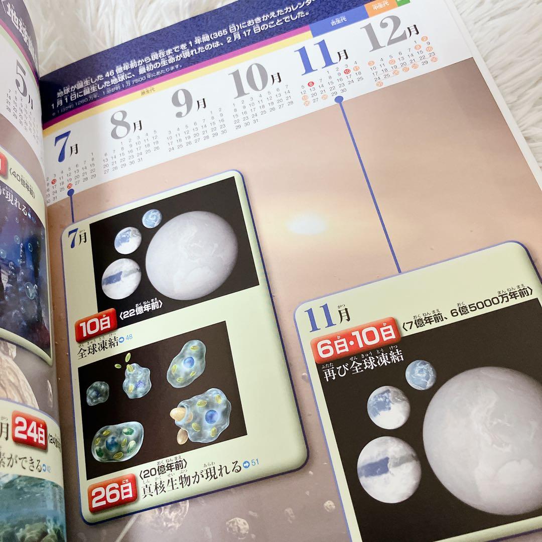 小学館 図鑑NEOシリーズ　プレneo 図鑑　図鑑まとめ　セット