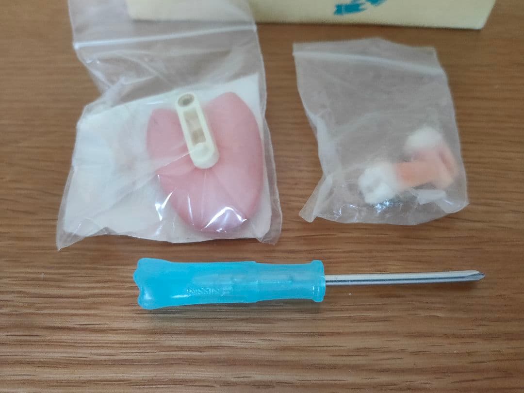 歯の模型 顎模型