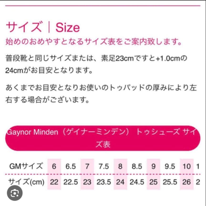 Gaynor Minden ゲイナーミンデン トゥシューズ 8.5M アメリカ製