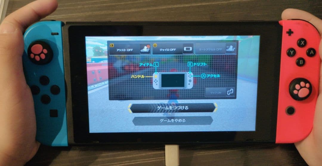 ニンテンドー Nintendo Switch 本体 HEG-001 動作確認済