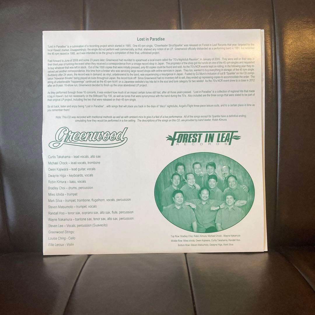 GREENWOOD LOST IN PARADISE レアグルーブ 山下達郎