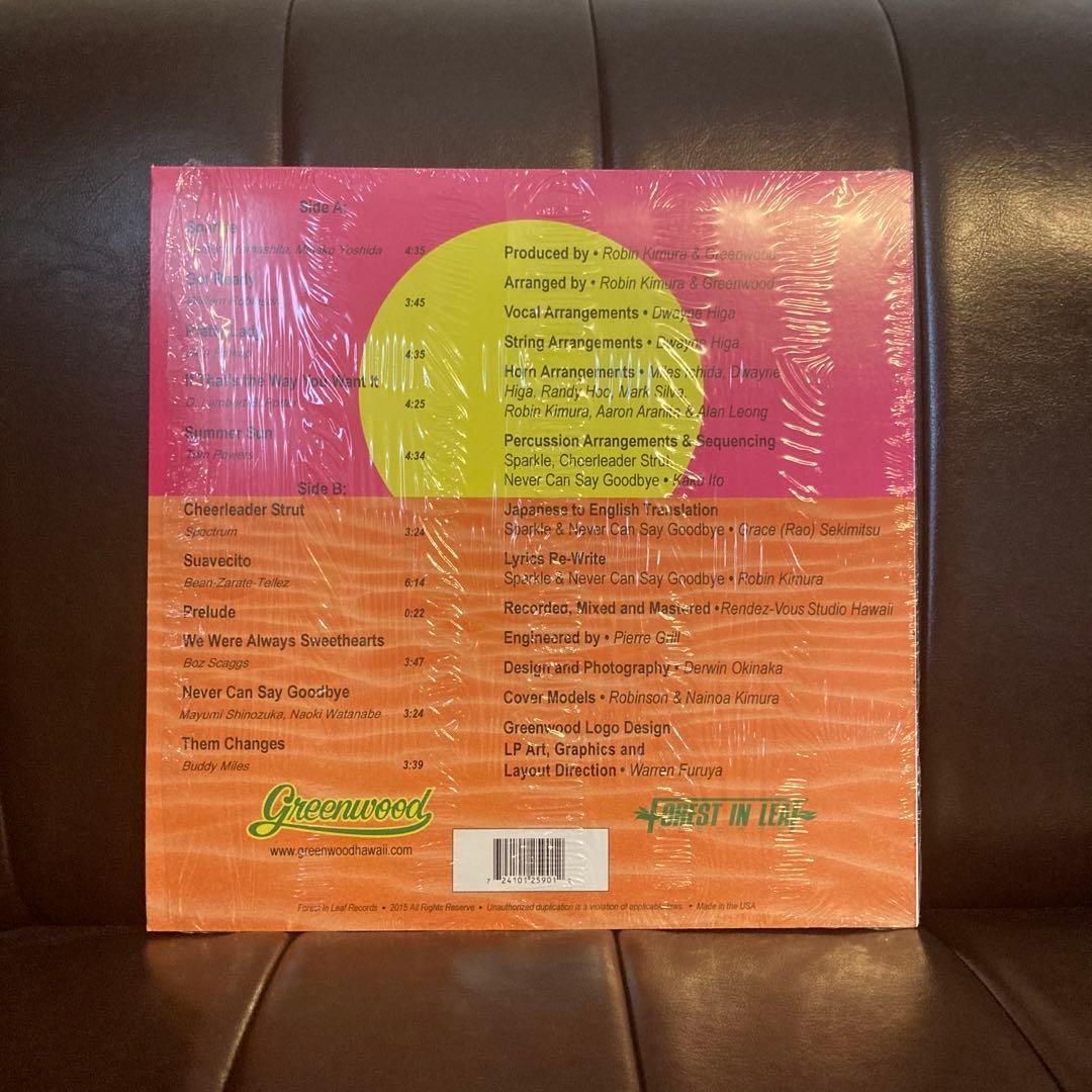 GREENWOOD LOST IN PARADISE レアグルーブ 山下達郎