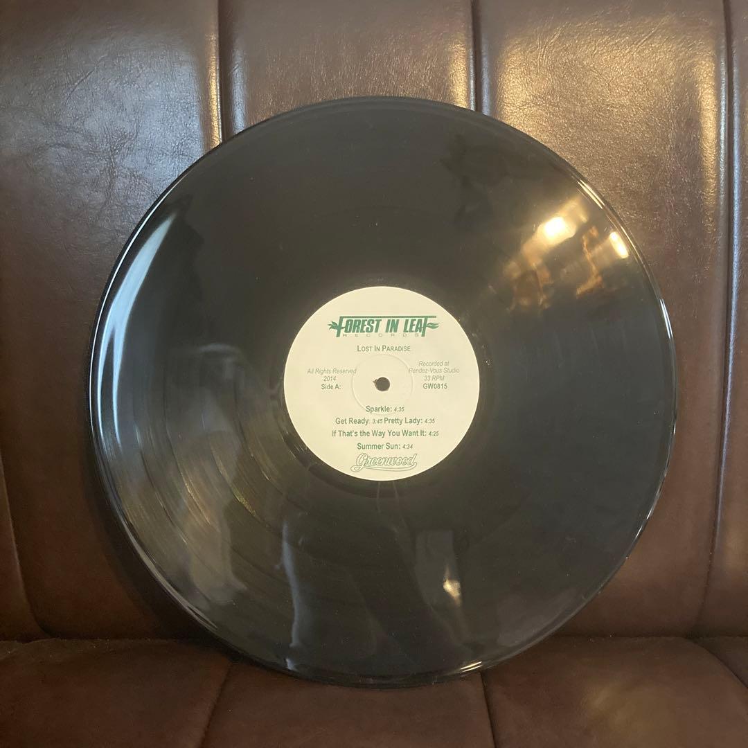 GREENWOOD LOST IN PARADISE レアグルーブ 山下達郎