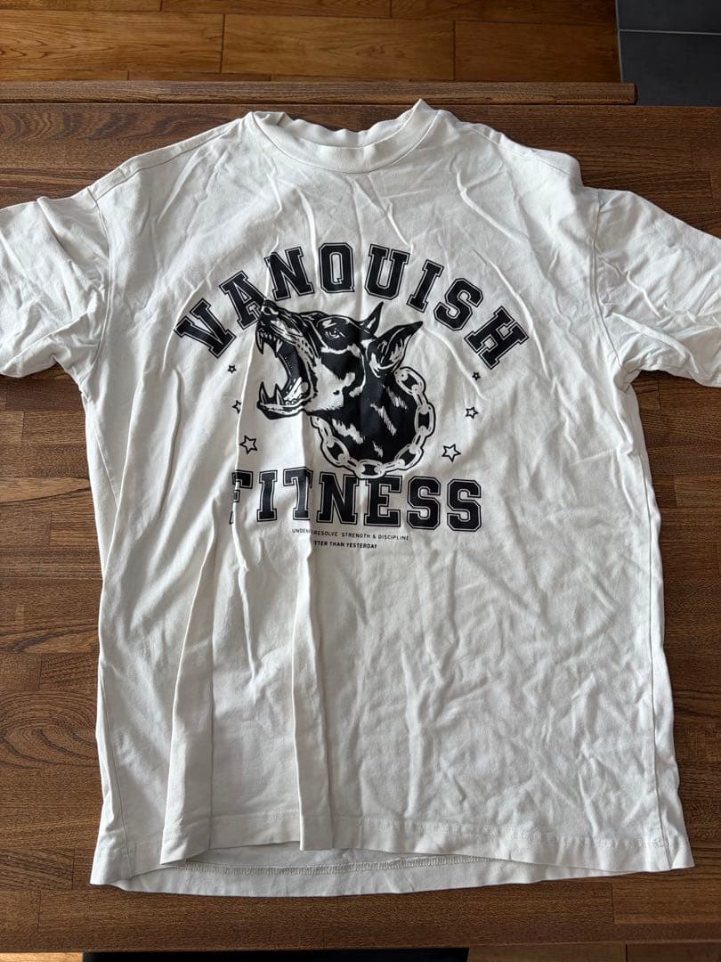 ヴァンキッシュフィットネス　VANQUISH FITNESS 豪華17点セット