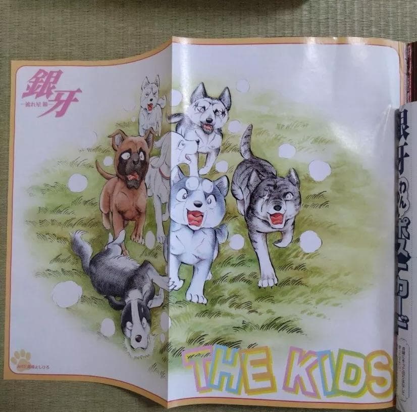 流れ星　銀牙 　総集編　1-5巻 高橋よしひろ　漫画　雑誌　ポスター付き