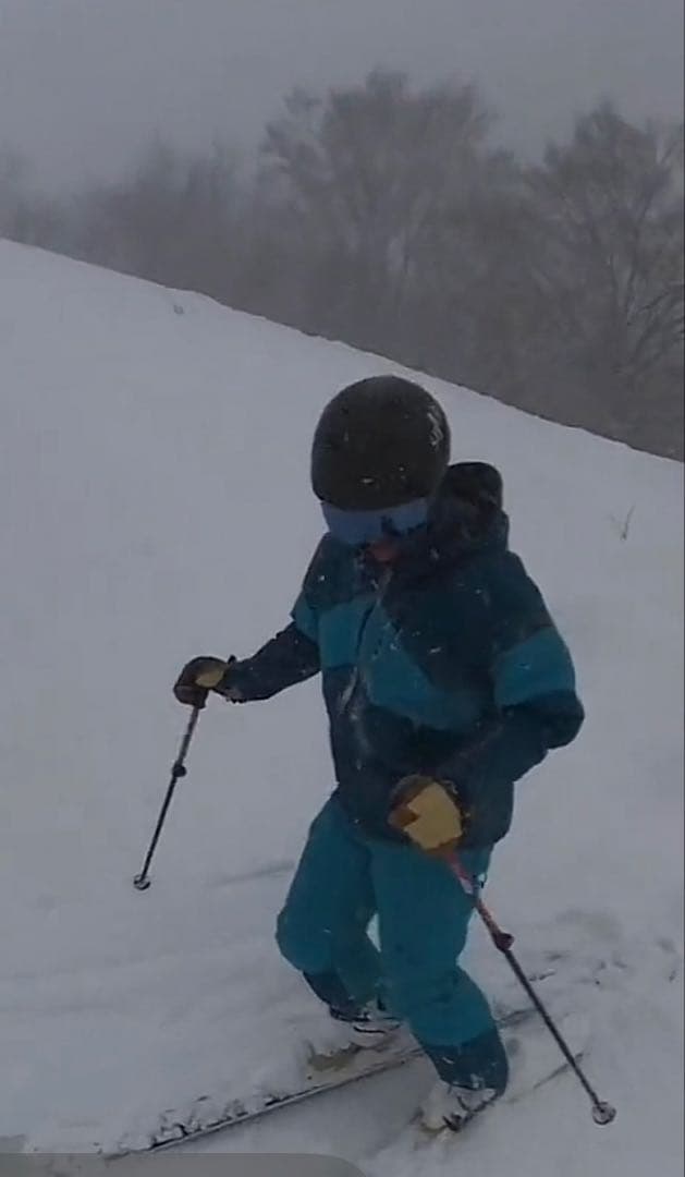 GOLDWINスキーウェア