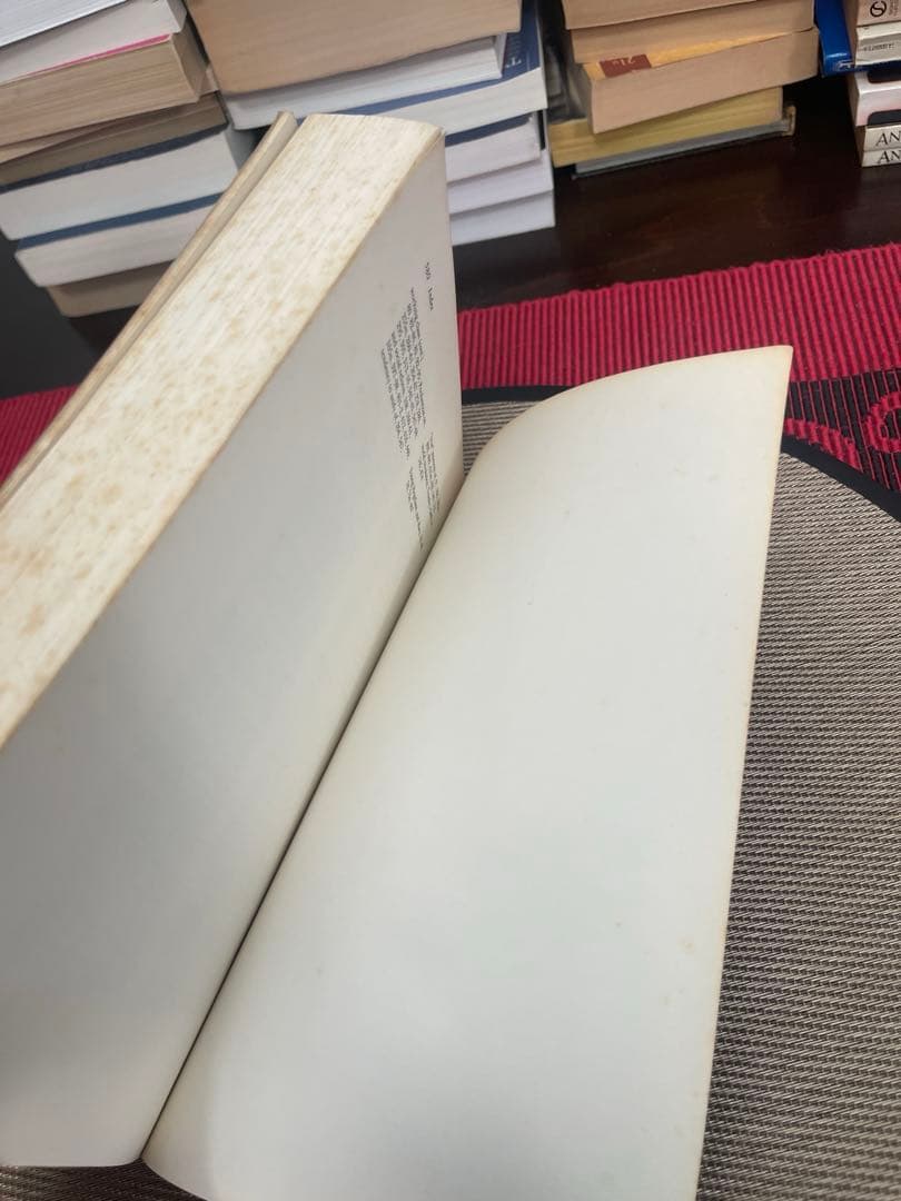 希少　THE IMMANENT UTOPIA Axel van den Berg