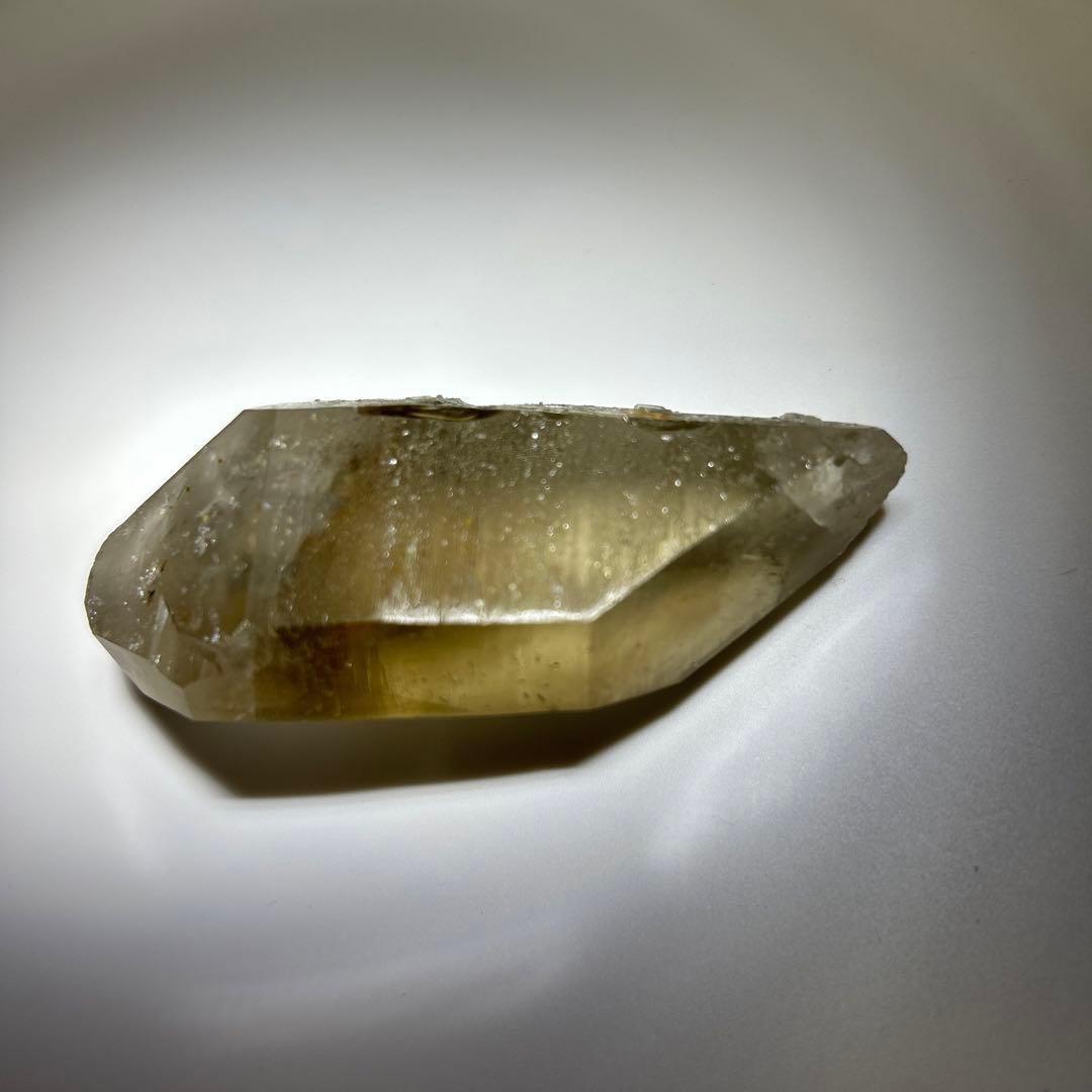 ロシアンレムリアン　スモーキー