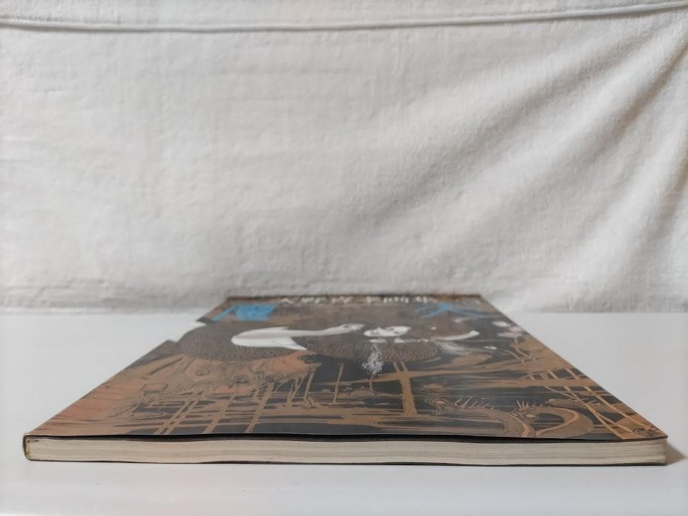 【天野喜孝 2冊】飛天／魔天　画集　eeo