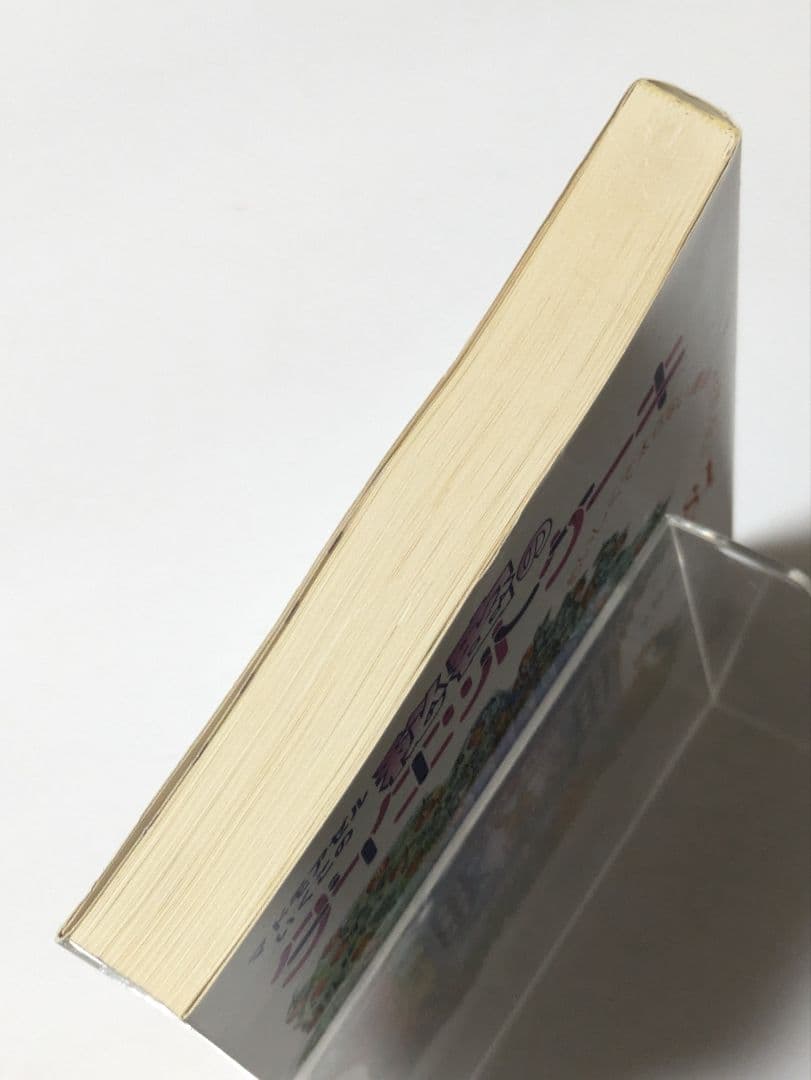 マドモアゼルいくこの秘密のダイエットケーキ おいしくて太らない簡単で失敗しない