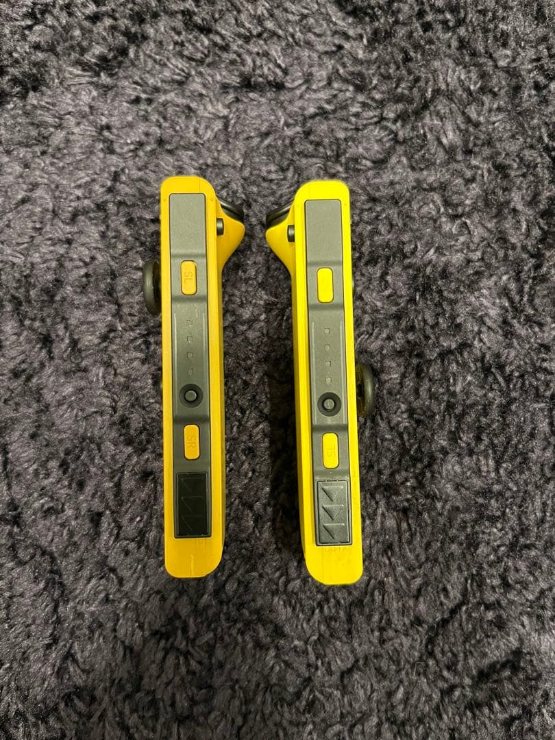 Nintendo Switch イーブイ モデル　＋　α