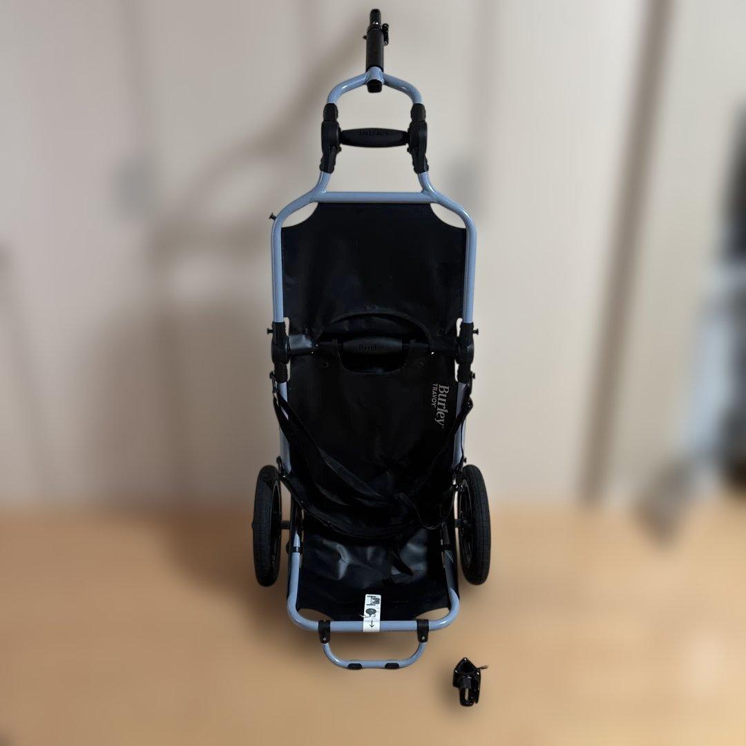 バーレートラボーイ（Burley Travoy）