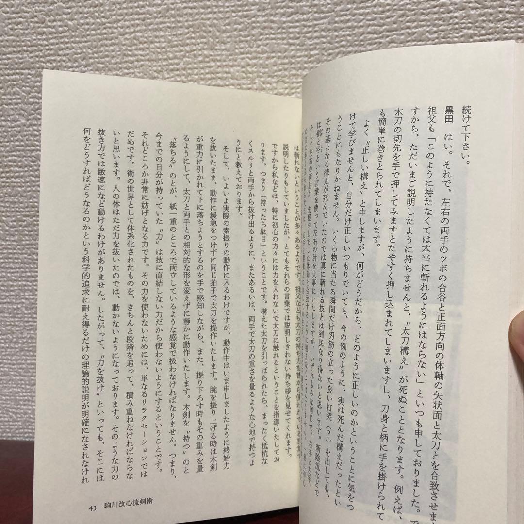 絶版‼️極稀少❗️武道！武術！格闘技！合気！黒田鉄山先生✖️甲野善紀先生　武術談義