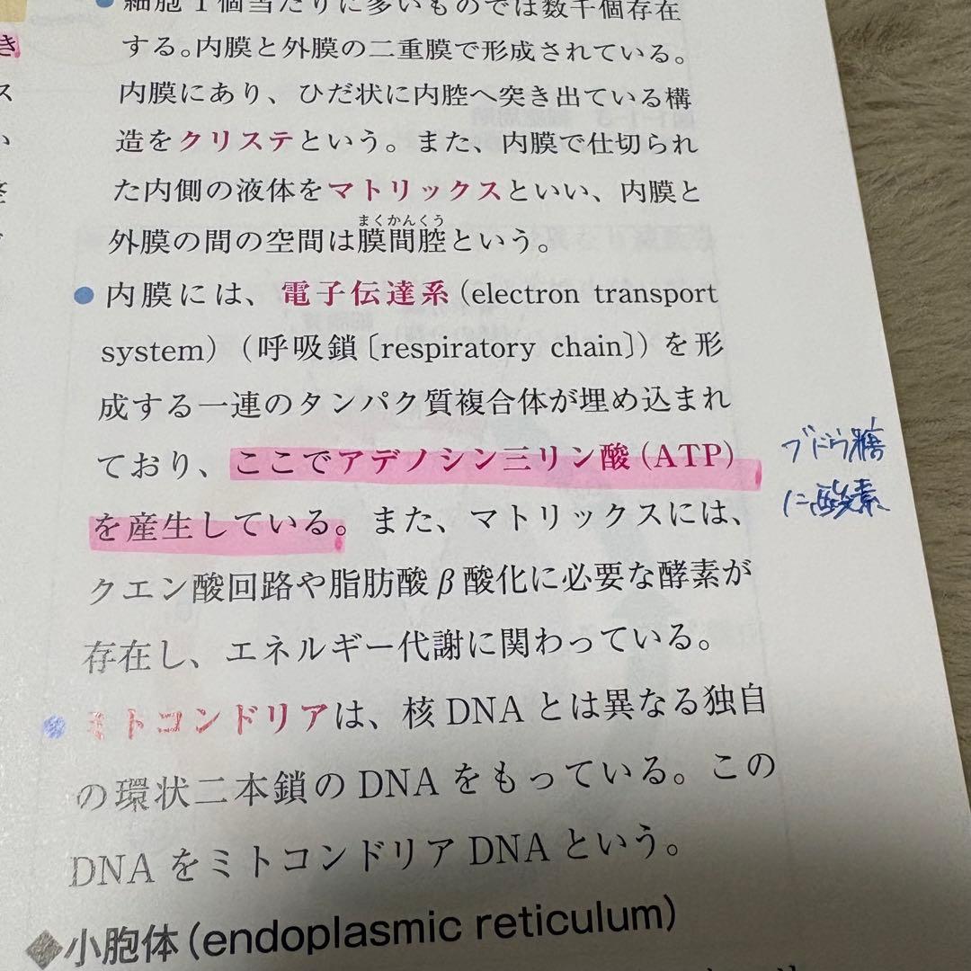 愛玩動物看護師カリキュラム準拠教科書全10巻セット EDUWARD Press