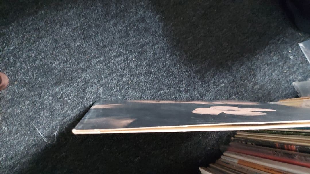 Port of Notes 　畠山美由紀　Duet With Birds