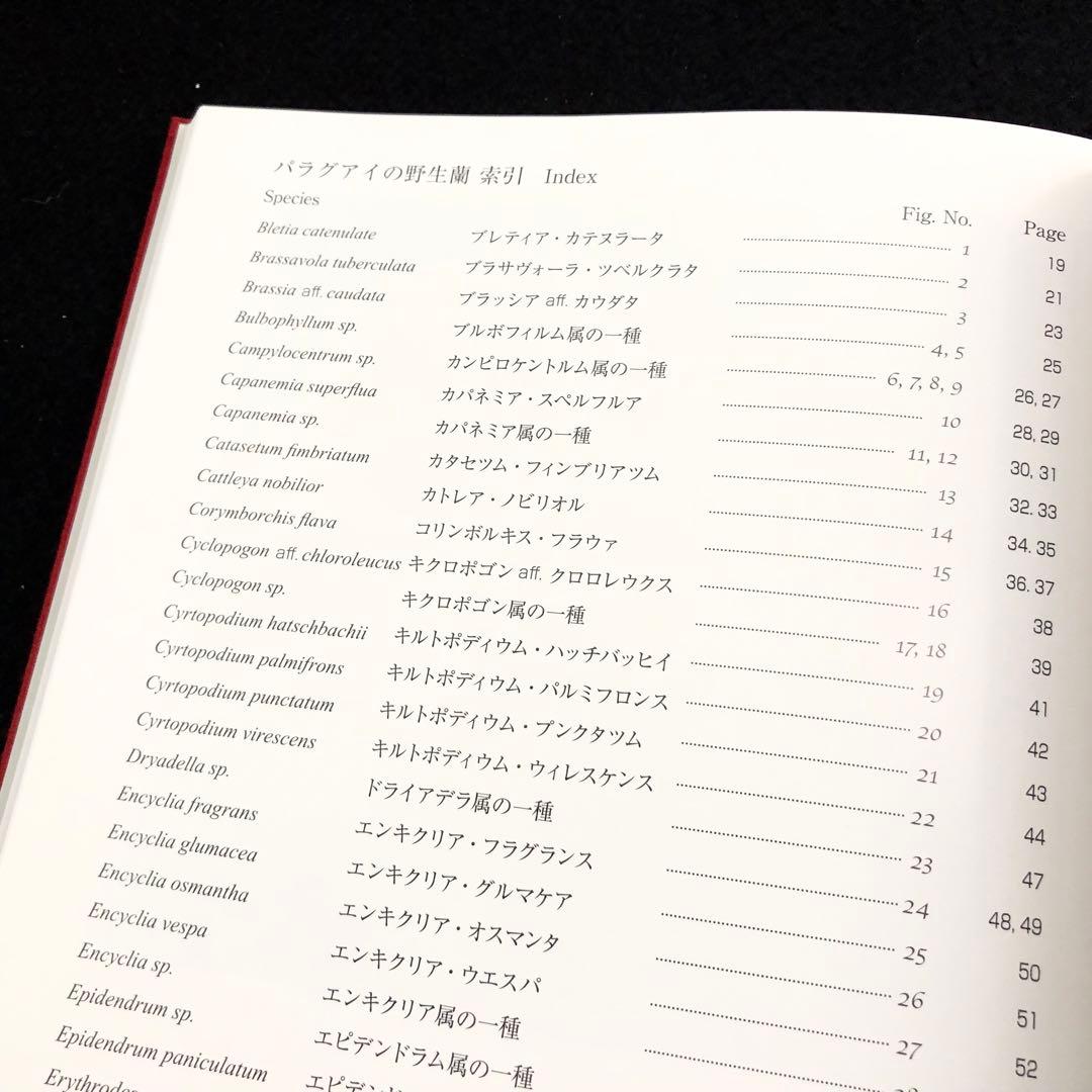 野生ラン 写真集「艶蘭亭 ADELANTE - パラグアイの野生蘭と甲虫」小山貢